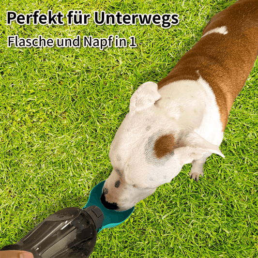 Aquafast - Innovatieve reismatdrinkfles voor honden