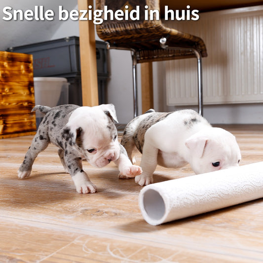 schlaudog Spelcollectie